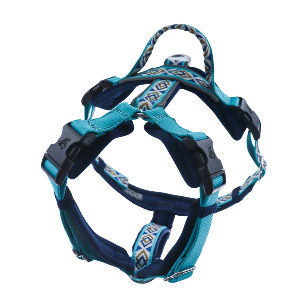 Trailblazer Harness - Pegasus Blue