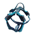 Trailblazer Harness - Pegasus Blue