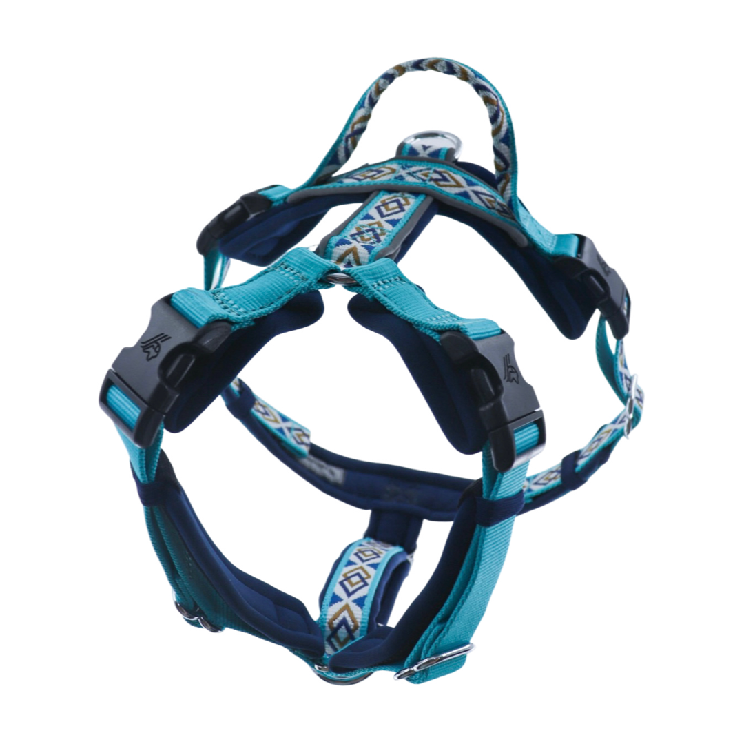 Trailblazer Harness - Pegasus Blue