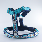 Trailblazer Harness - Pegasus Blue