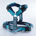 Trailblazer Harness - Pegasus Blue
